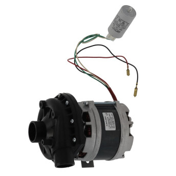 Horeca Parts - Pump 0.75kW 230V 50Hz in. 45mm output 40mm