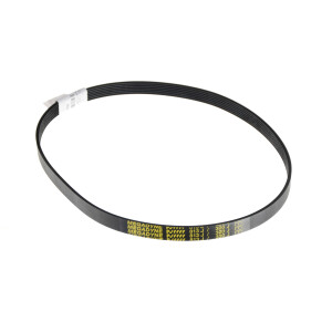 Horeca Parts - Pasek wielorowkowy typ PV 813J - Szatkownica Ma-Ga MKJ 250.5, 250.6, 250.7, 250.8 (MKJ.250-0813-00-0)