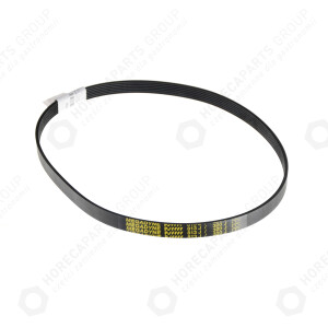 Horeca Parts - Pasek wielorowkowy typ PV 813J - Szatkownica Ma-Ga MKJ 250.5, 250.6, 250.7, 250.8 (MKJ.250-0813-00-0)