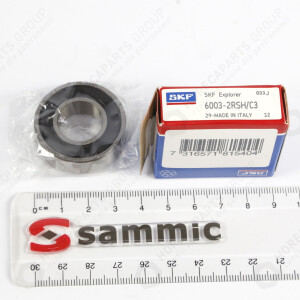 Horeca Parts - Rulment - Feliator Sammic GAE-300, GAE-350